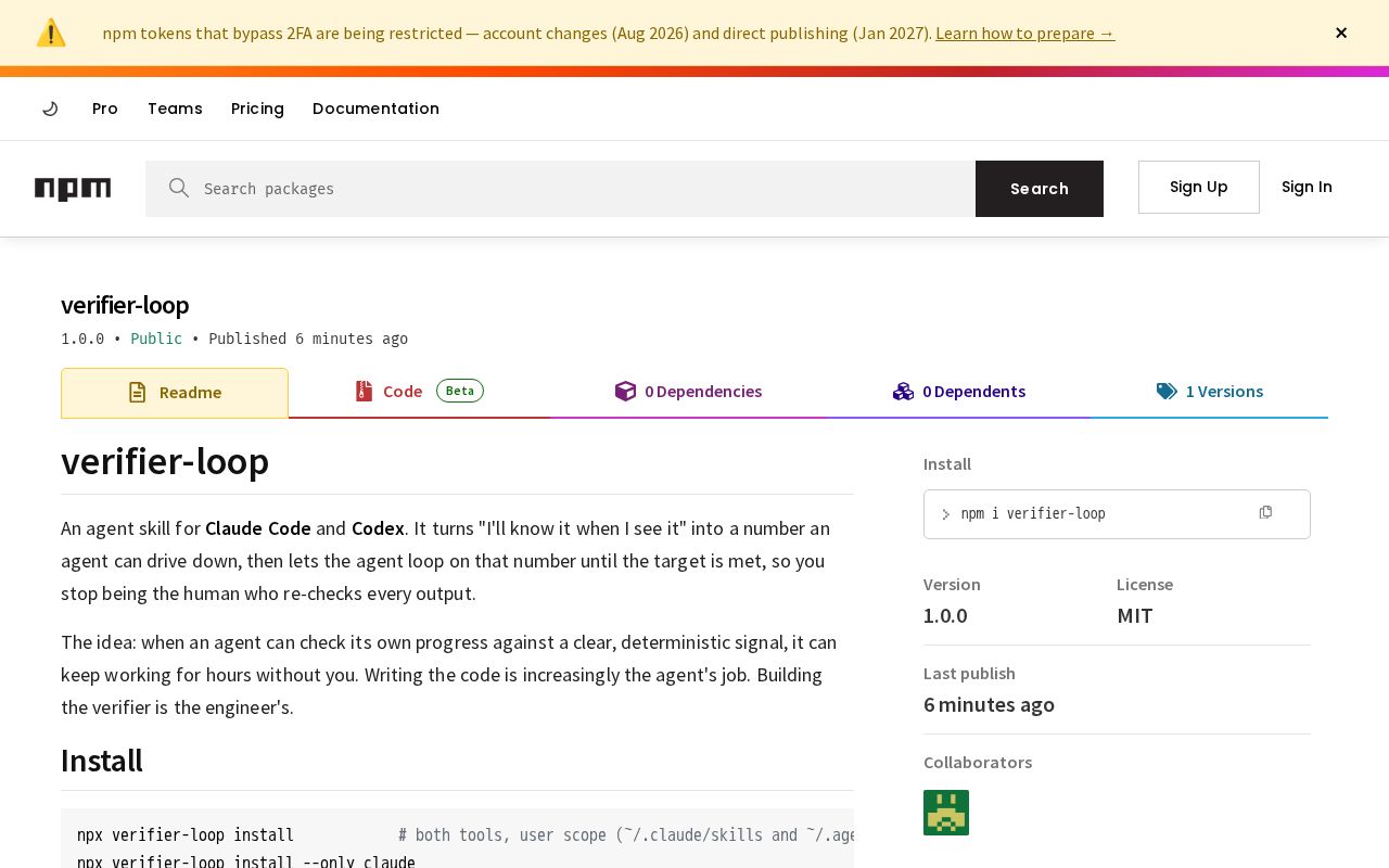 Preview of Verifier Loop