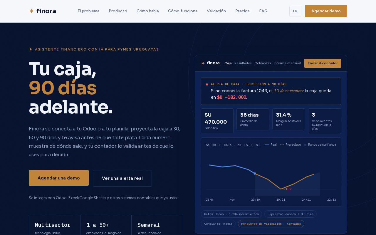 Preview of Landing Cfo