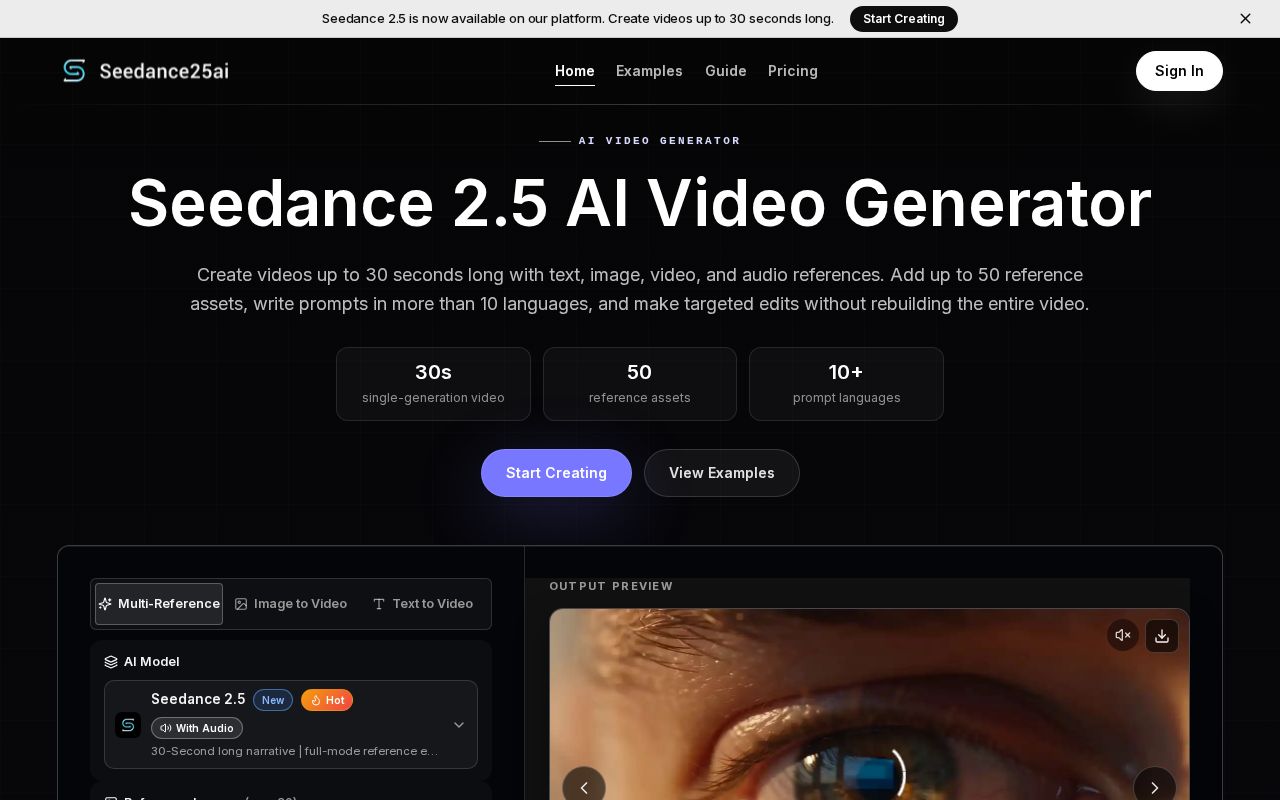 Preview of Seedance 2.5