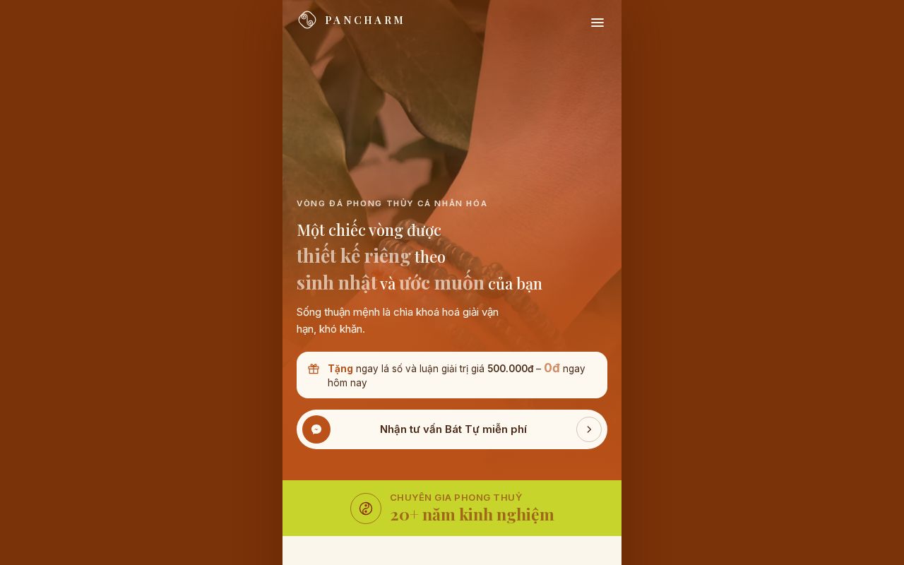 Preview of LadiPagePan