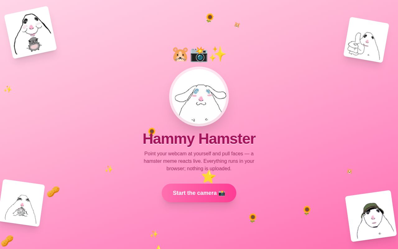 Preview of Hammy Hamster Webcam Public
