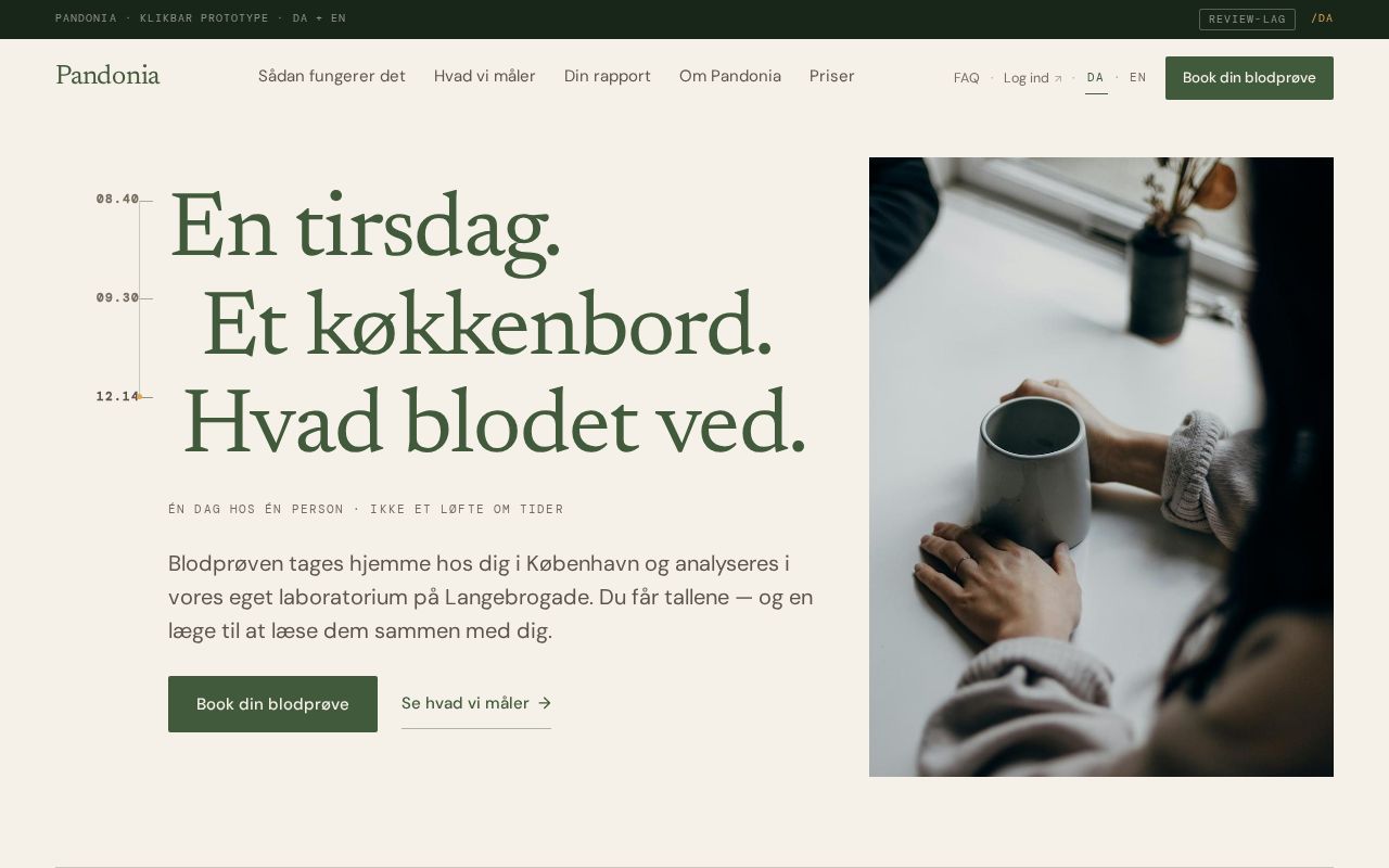 Preview of Pandoina Website V2
