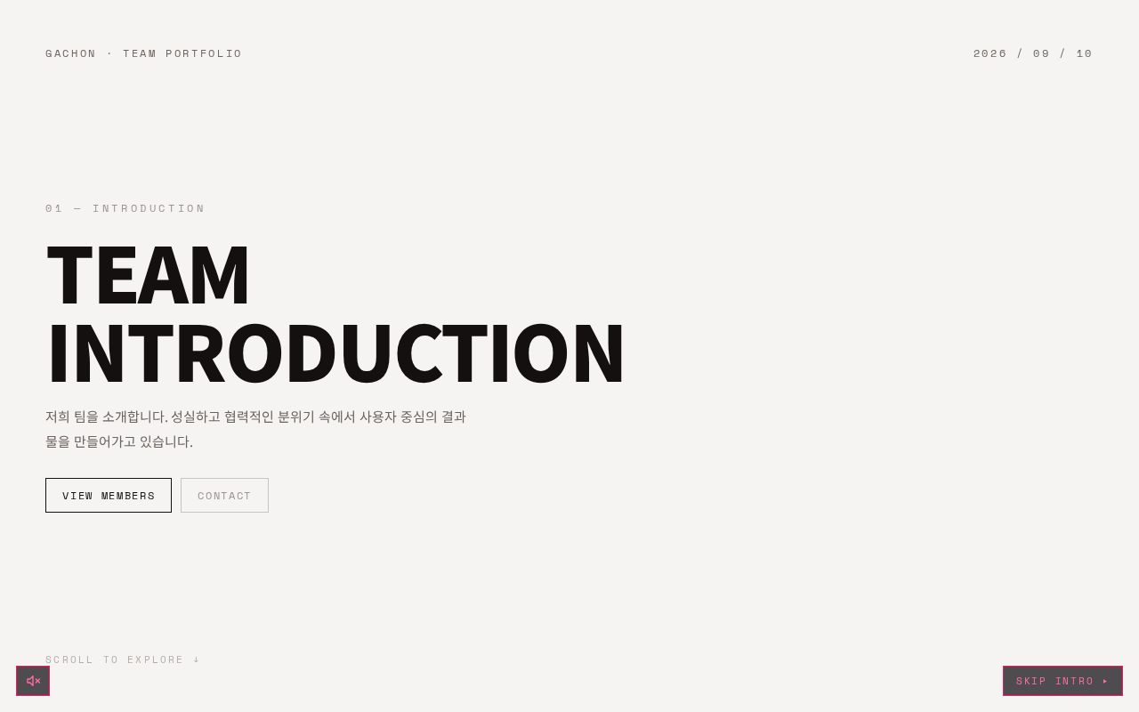 Preview of Kokodan Team Page