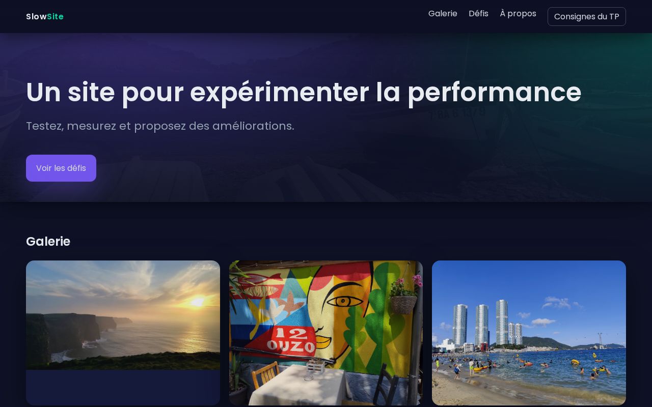 Preview of R314 Optimisation Site