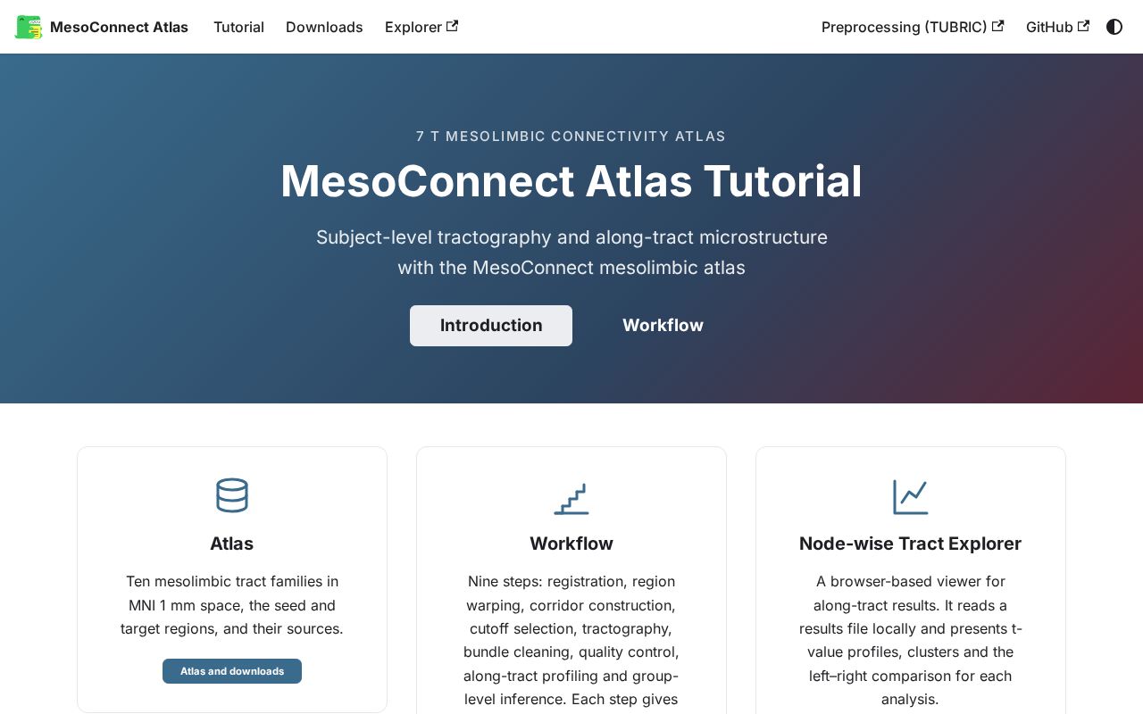 Preview of MesoConnect Tutorial