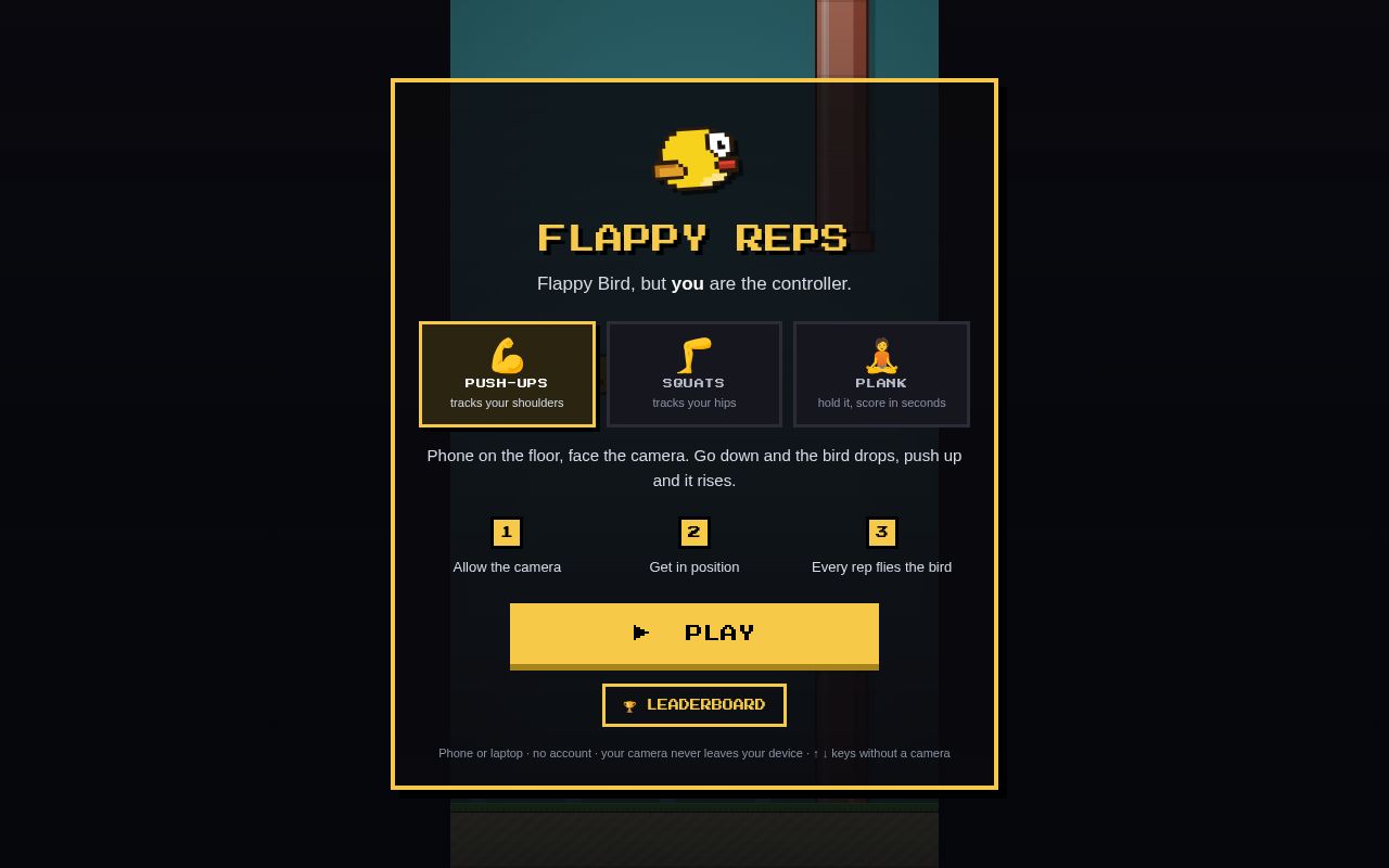 Preview of Flappyreps
