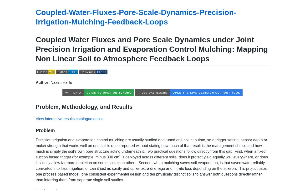 Preview of Coupled Water Fluxes Pore Scale Dynamics Precision Irrigation Mulching Feedback Loops