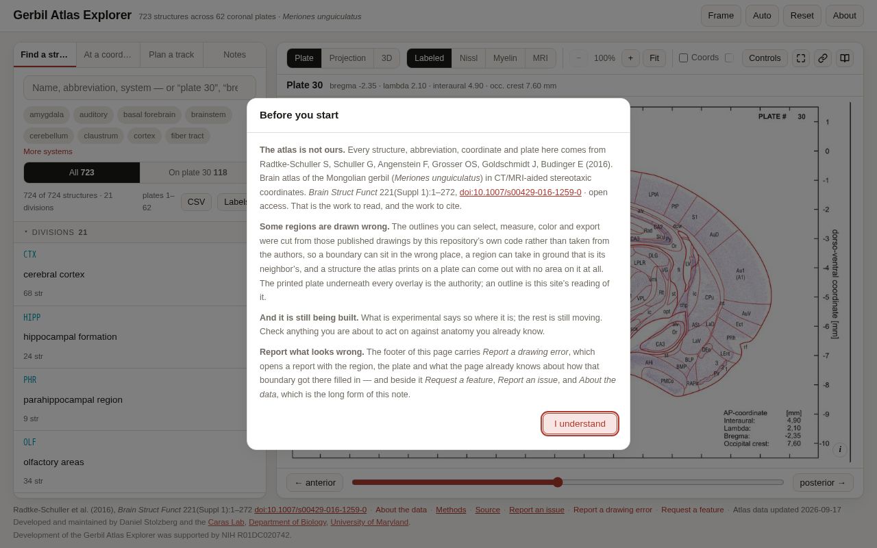 Preview of GerbilAtlasExplorer