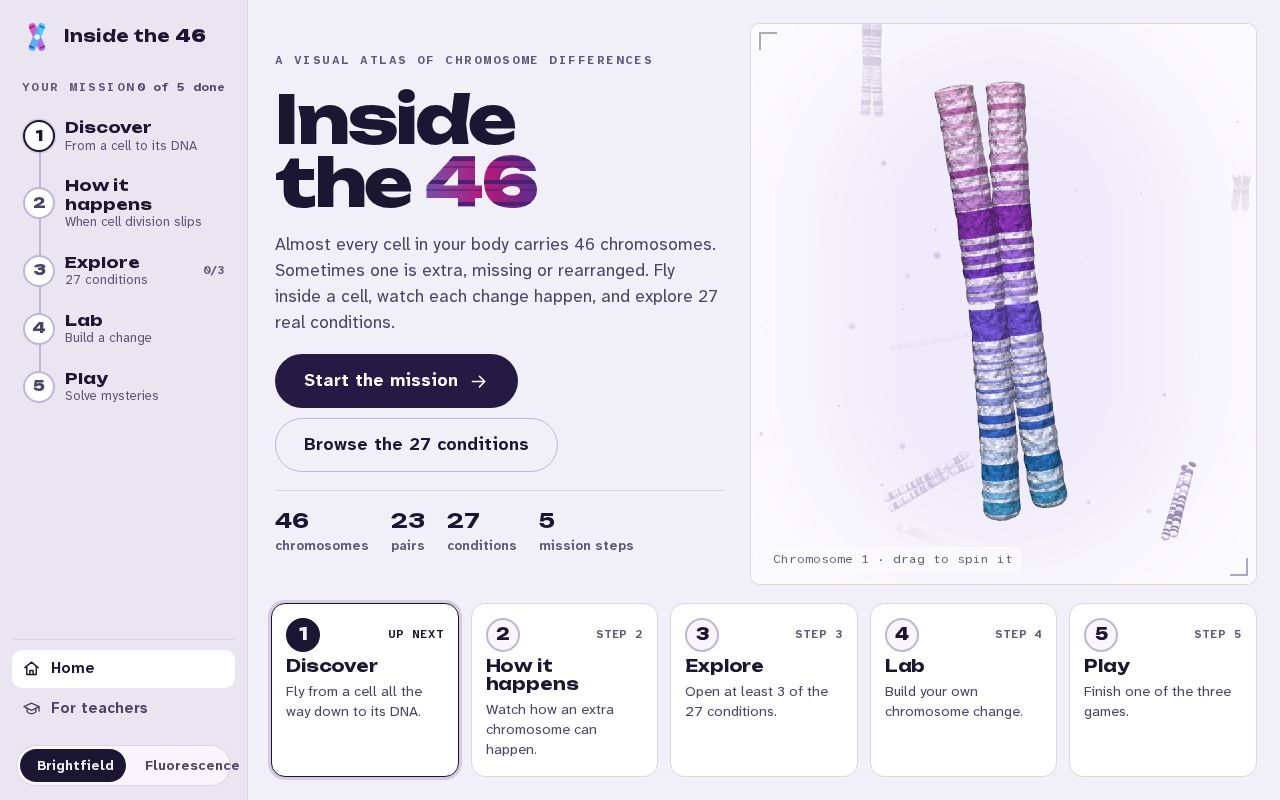 Preview of Inside the 46
