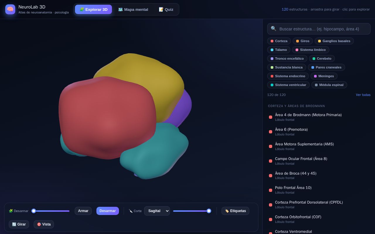 Preview of Neuroanatomia 3d