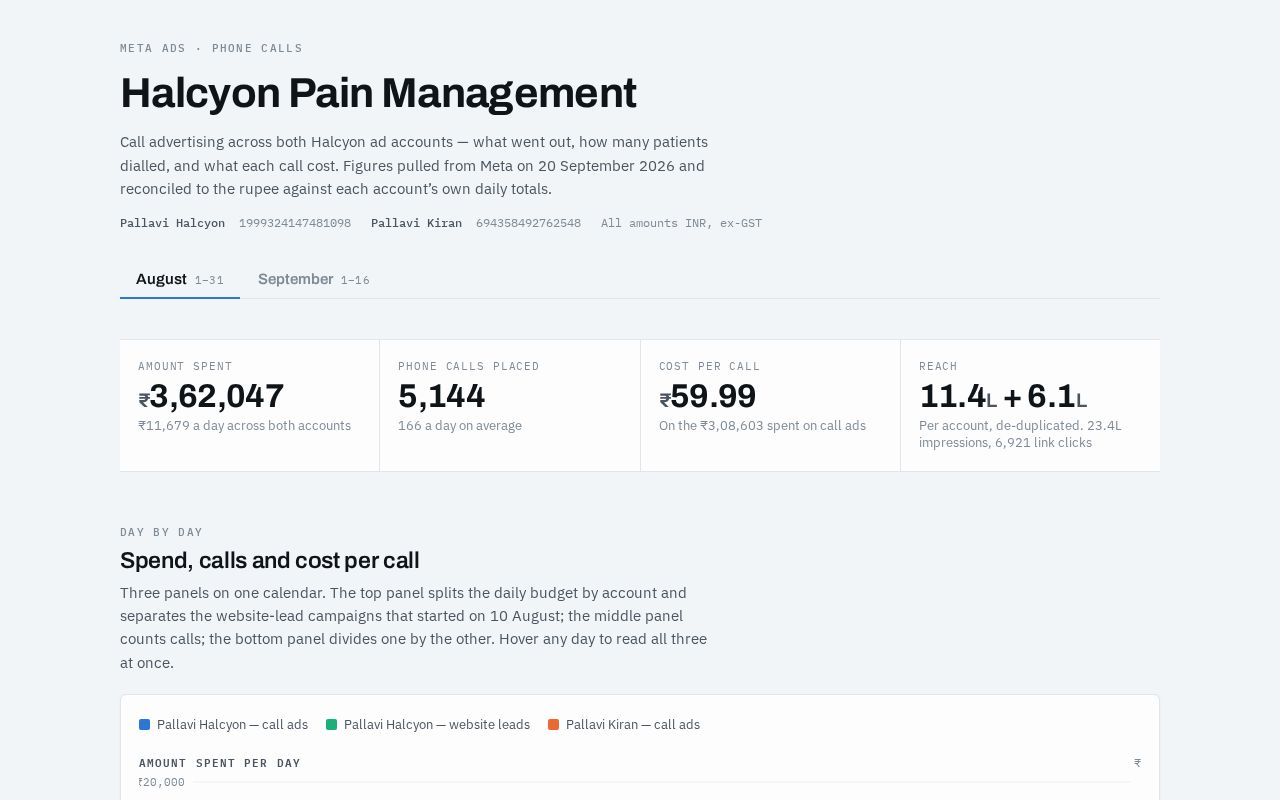 Preview of Halcyon Call Ledger