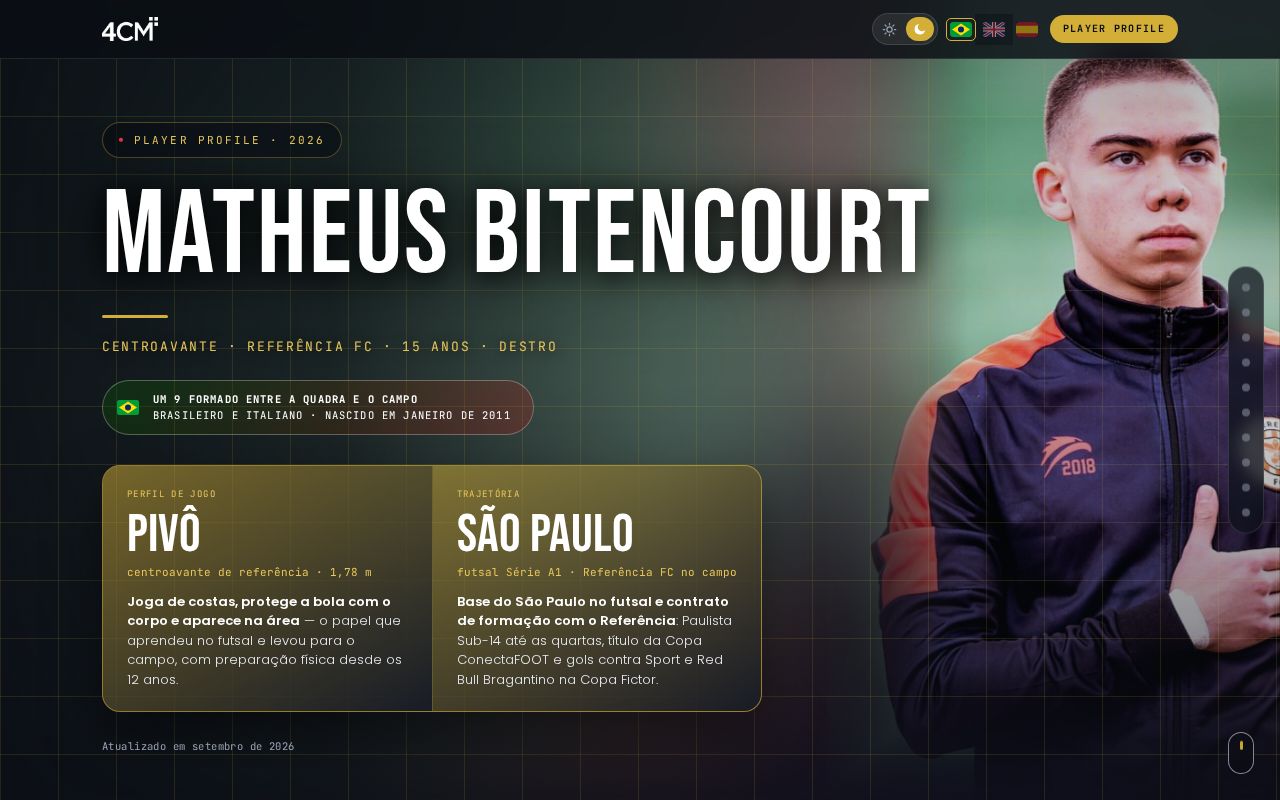 Preview of Matheus Bitencourt Player Profile