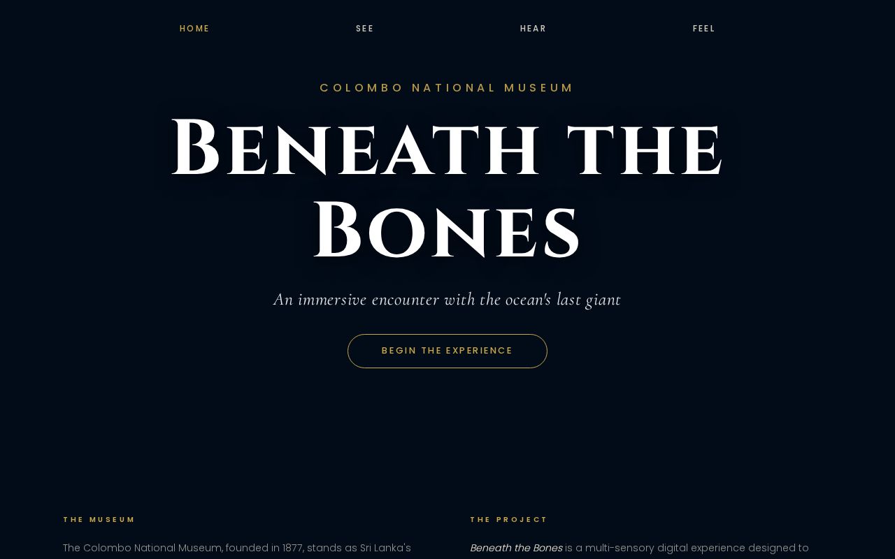 Preview of Beneath The Bones Website