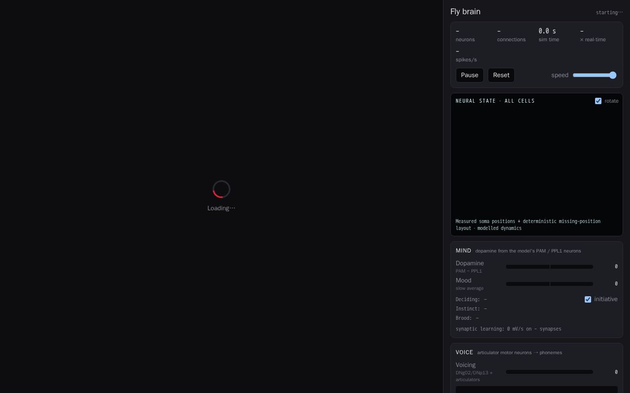 Preview of Flyleno