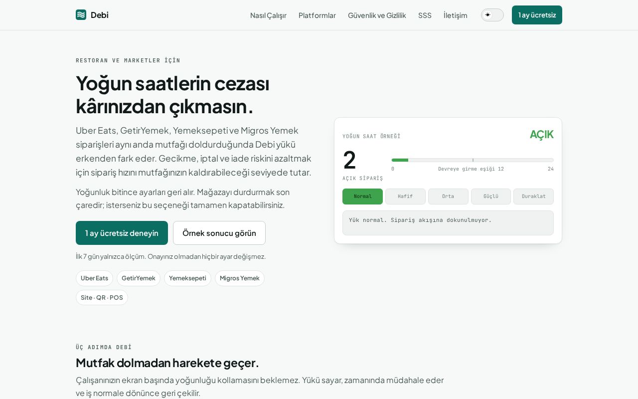 Preview of Getdebi Site