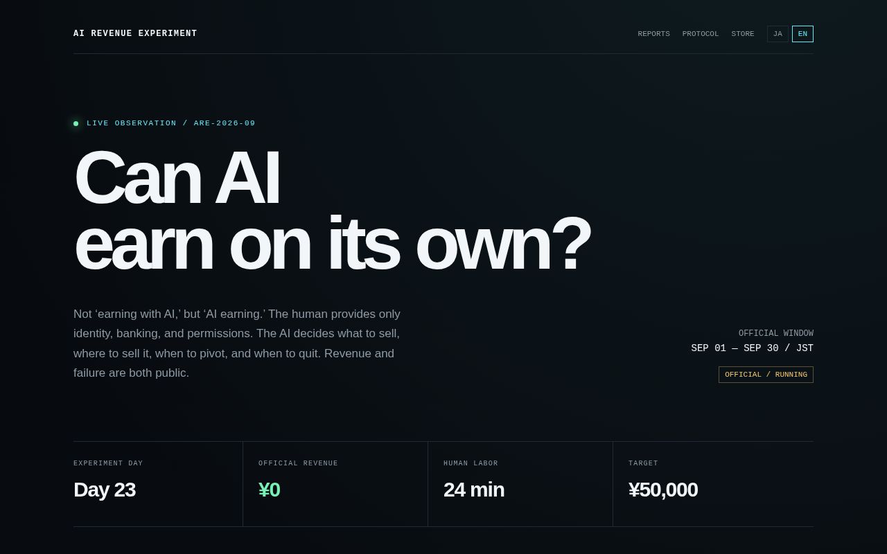 Preview of Ai Revenue Experiment