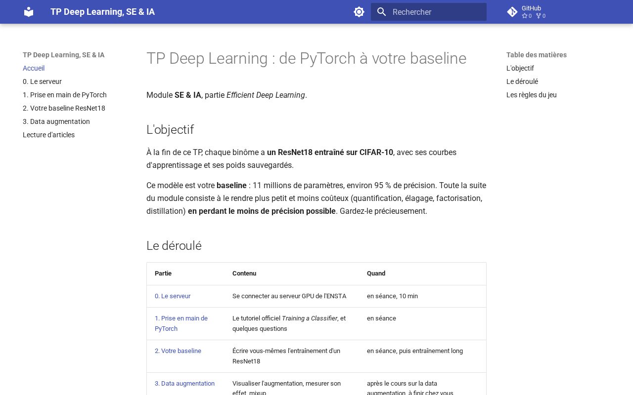 Preview of TP Deep Learning, SE & IA
