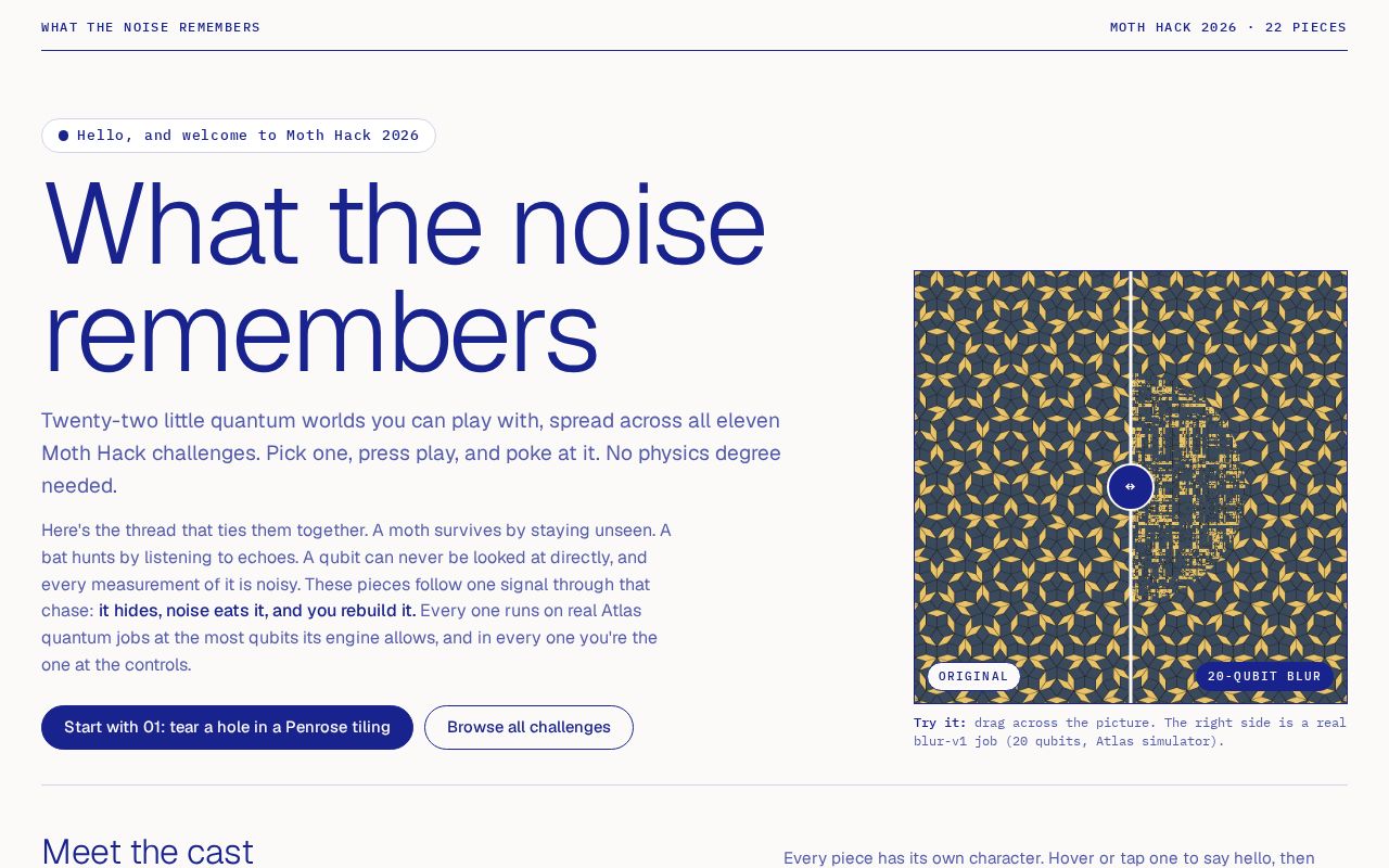 Preview of What The Noise Remembers MOTH QUANTUM HACK