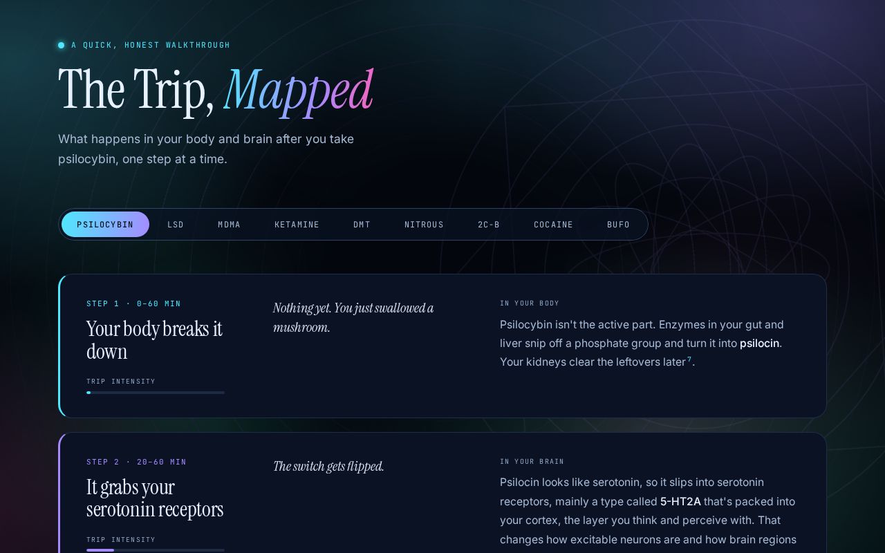 Preview of Thetrip Mapped