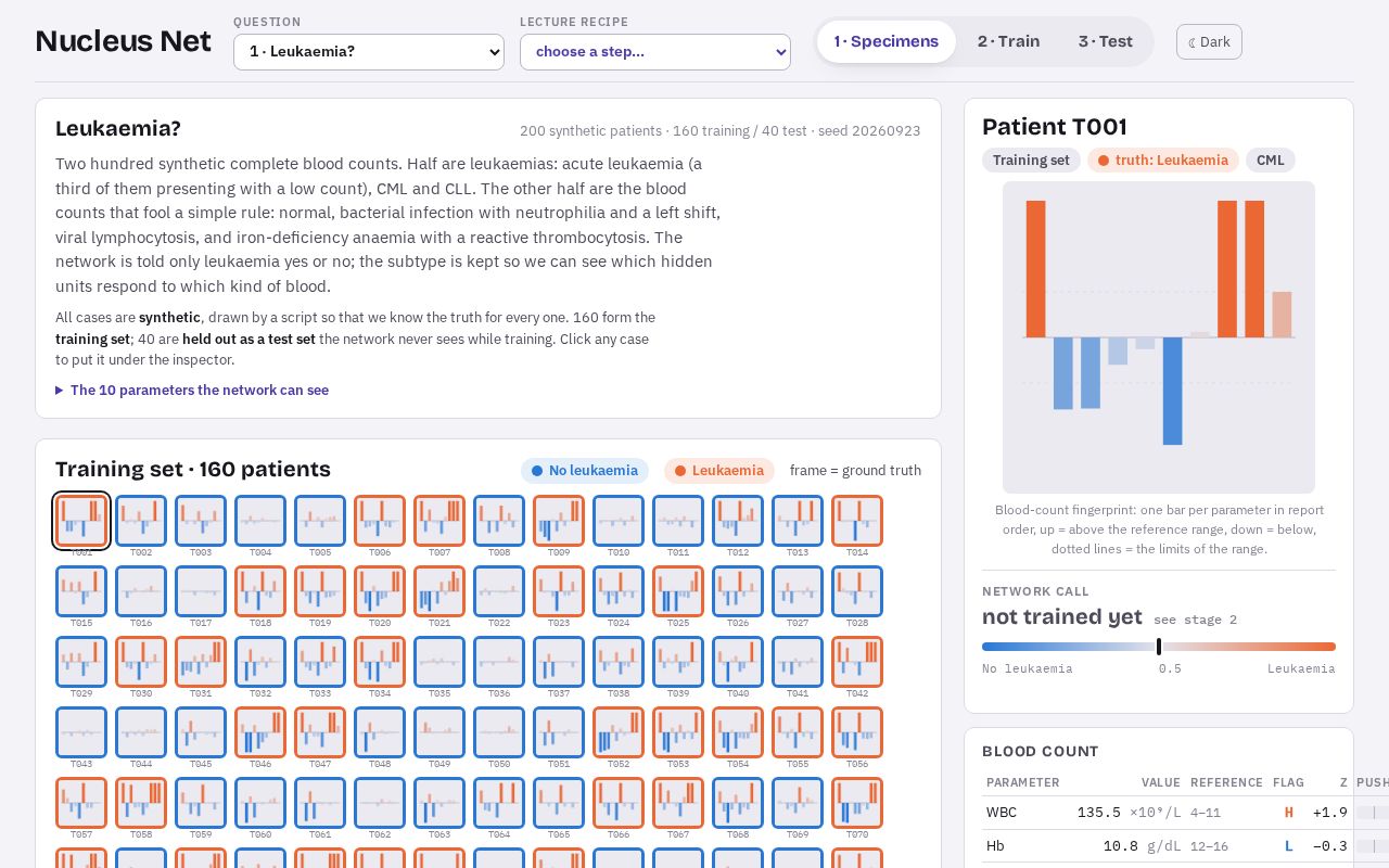 Preview of Neural Networks