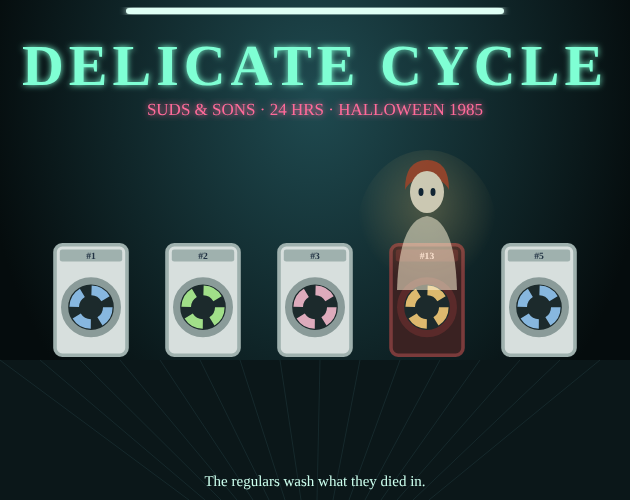 Preview of Delicate Cycle