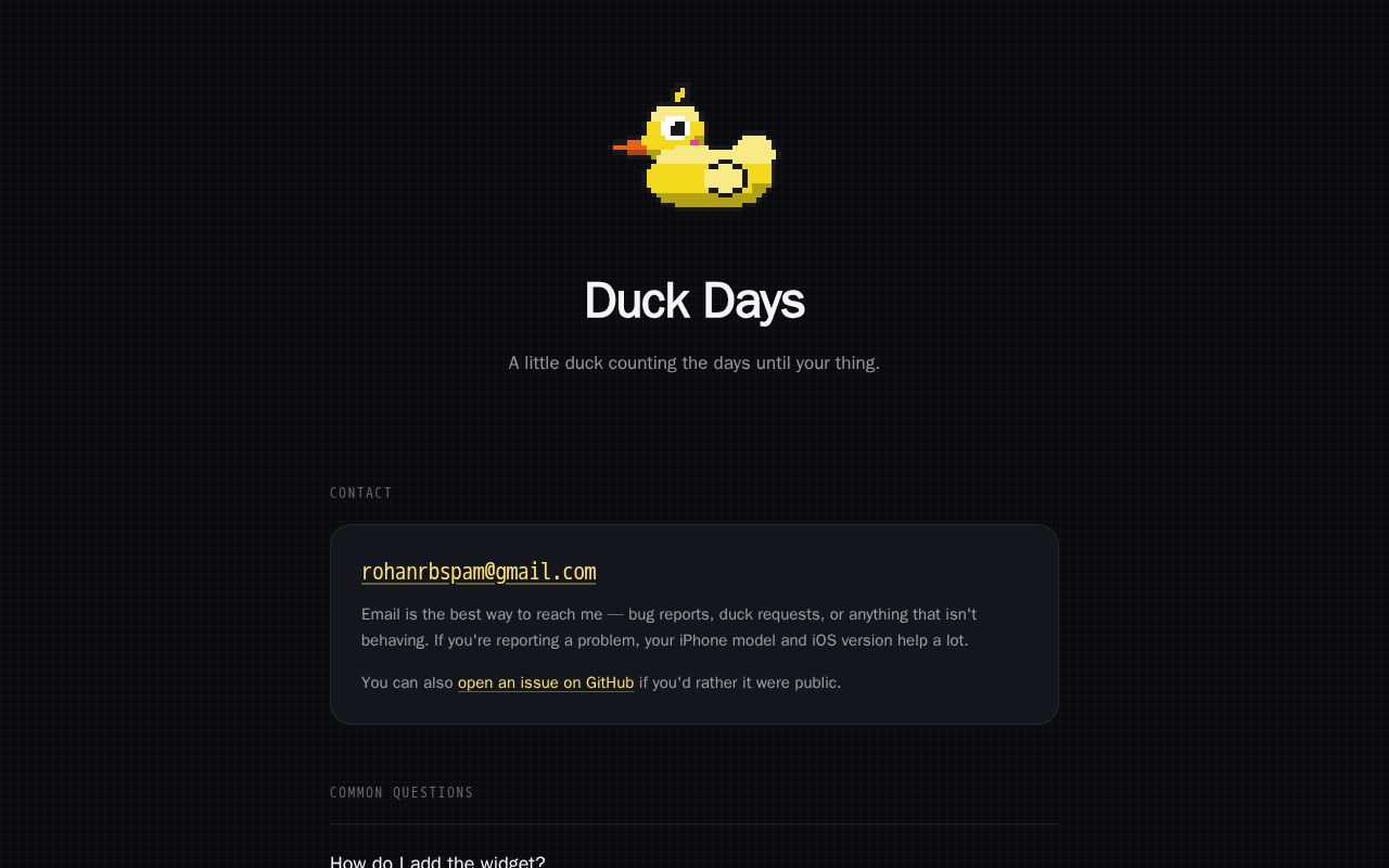 Preview of DuckDays
