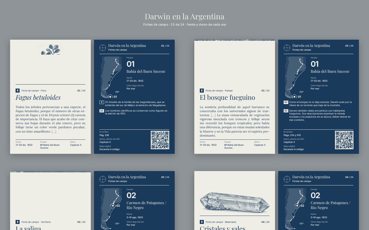 Preview of Darwin En La Argentina Fichas