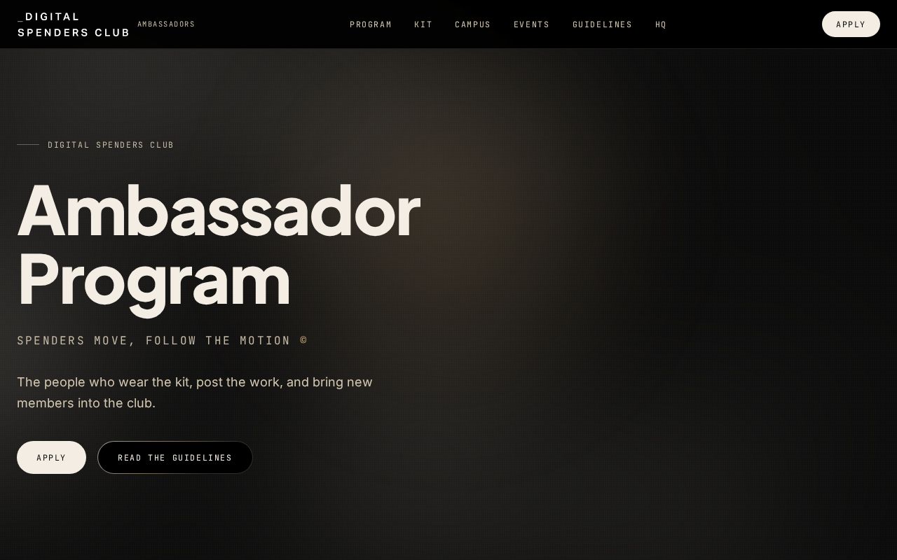 Preview of Dscambassador