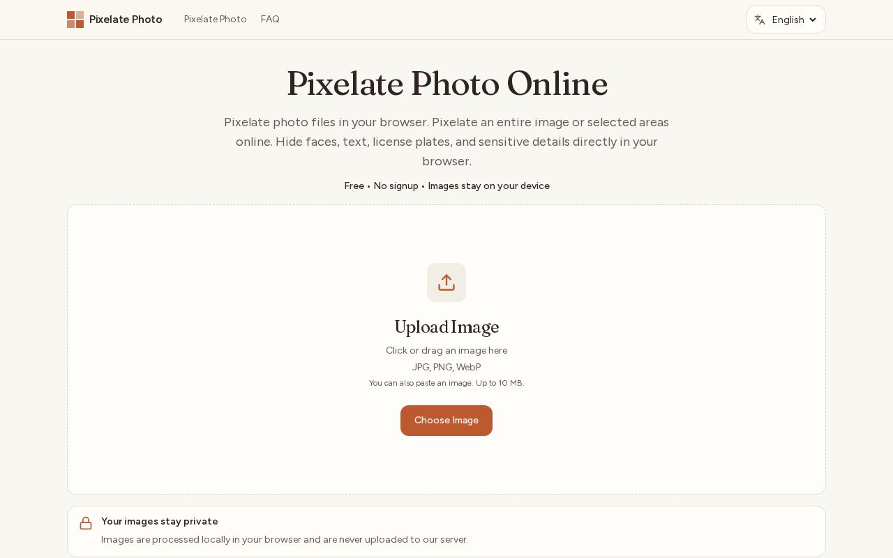 Preview of Pixelate Photo Online