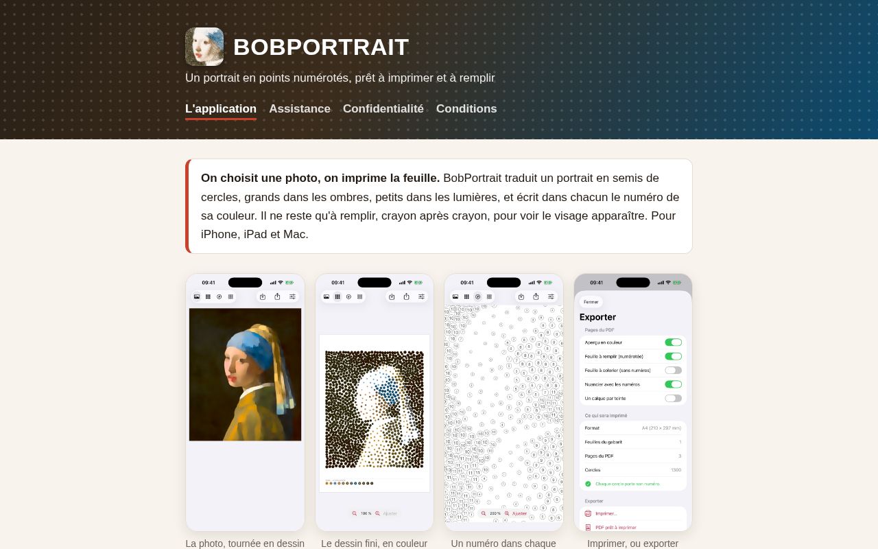 Preview of Bobportrait