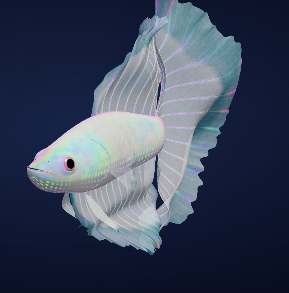 Preview of Fishchromia