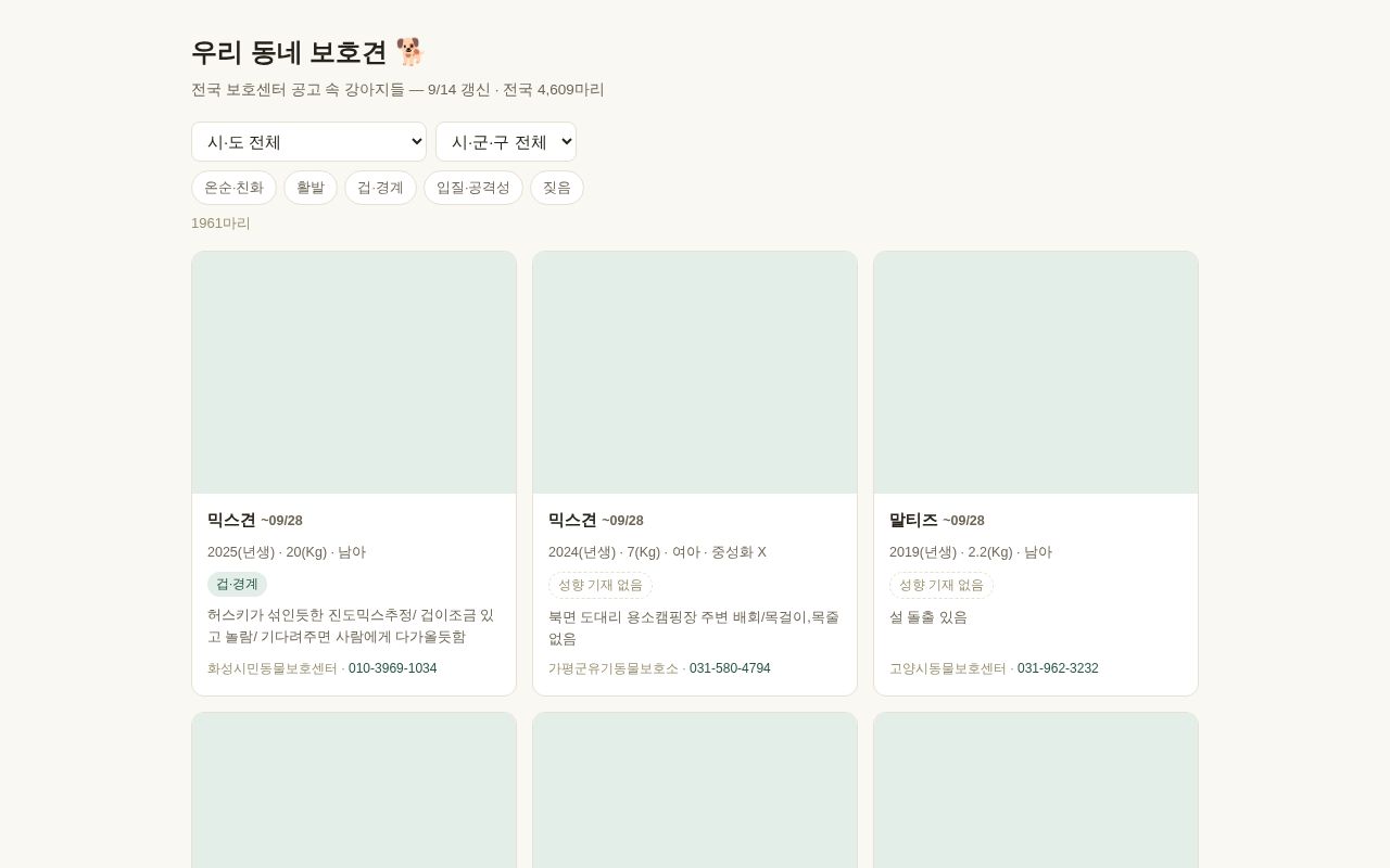 Preview of 멍BTI + 보호소