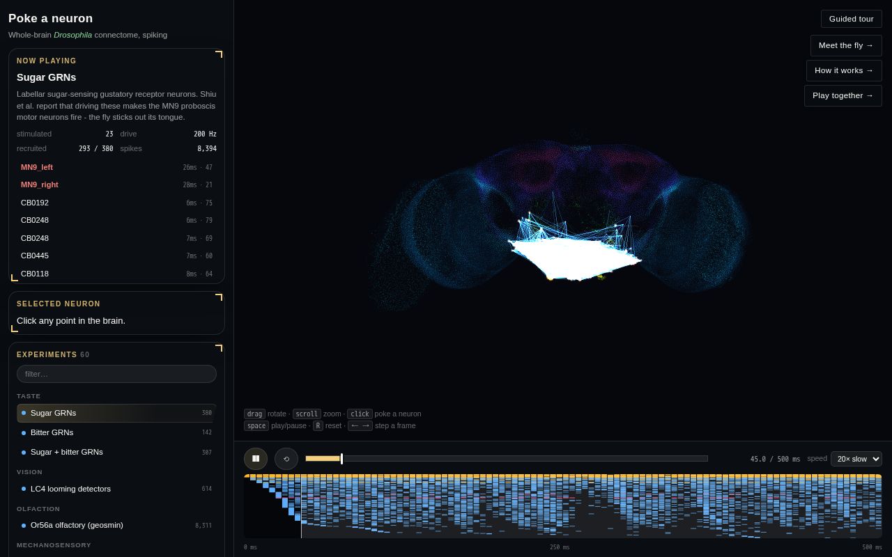 Preview of Fly With A Real Brain