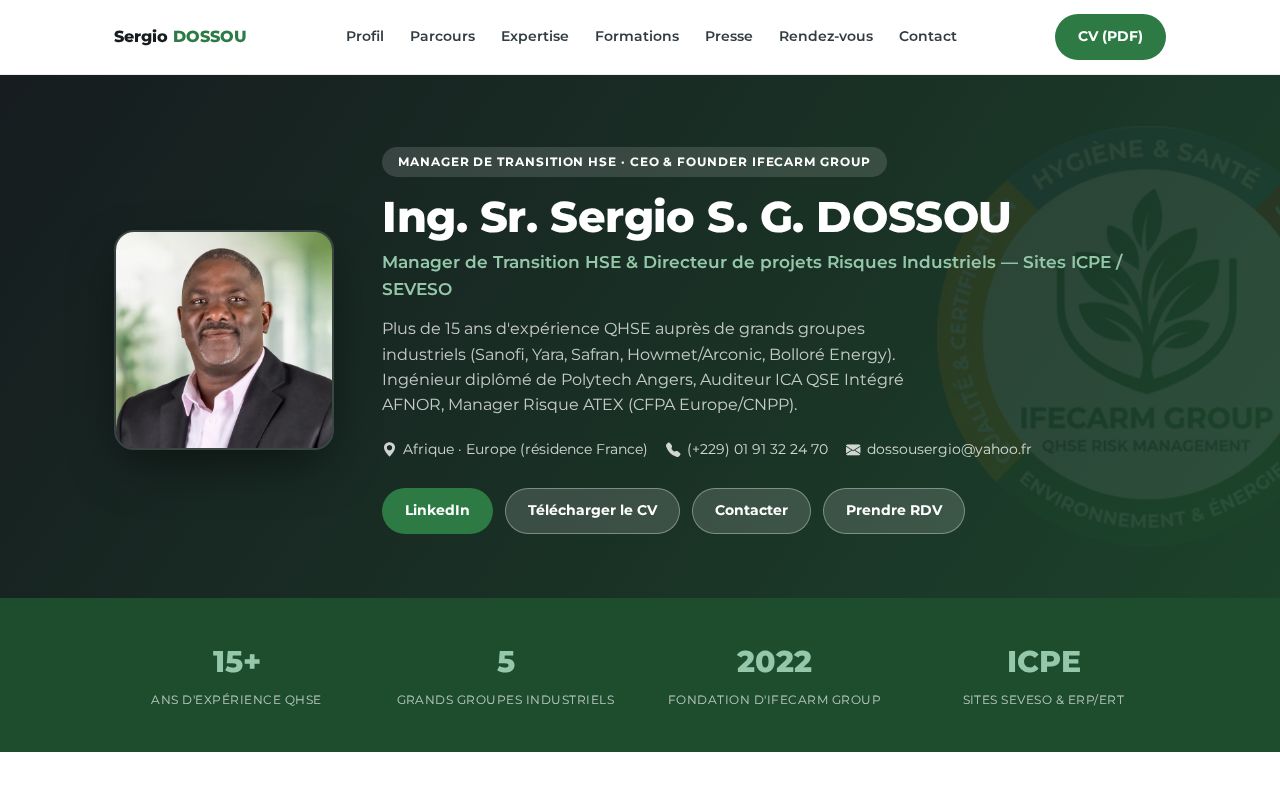 Preview of Sergio Dossou Portfolio