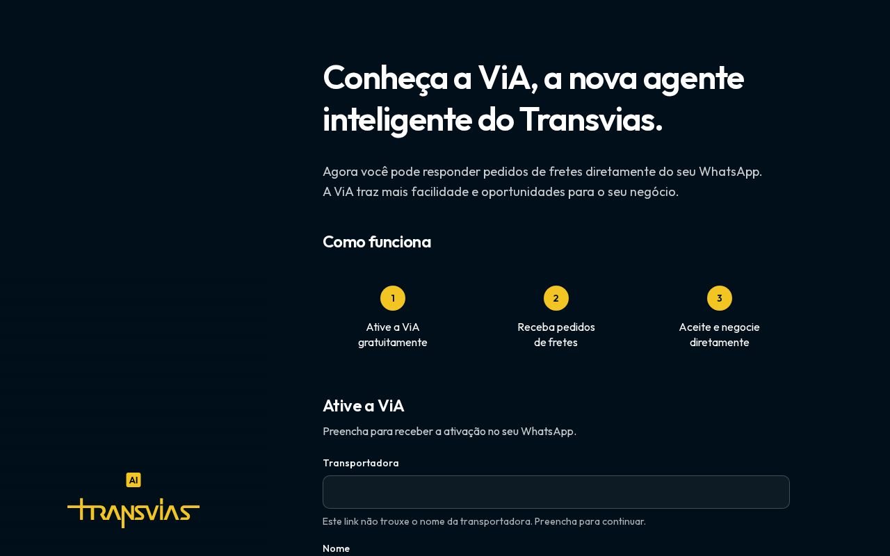 Preview of TransviasAI Website