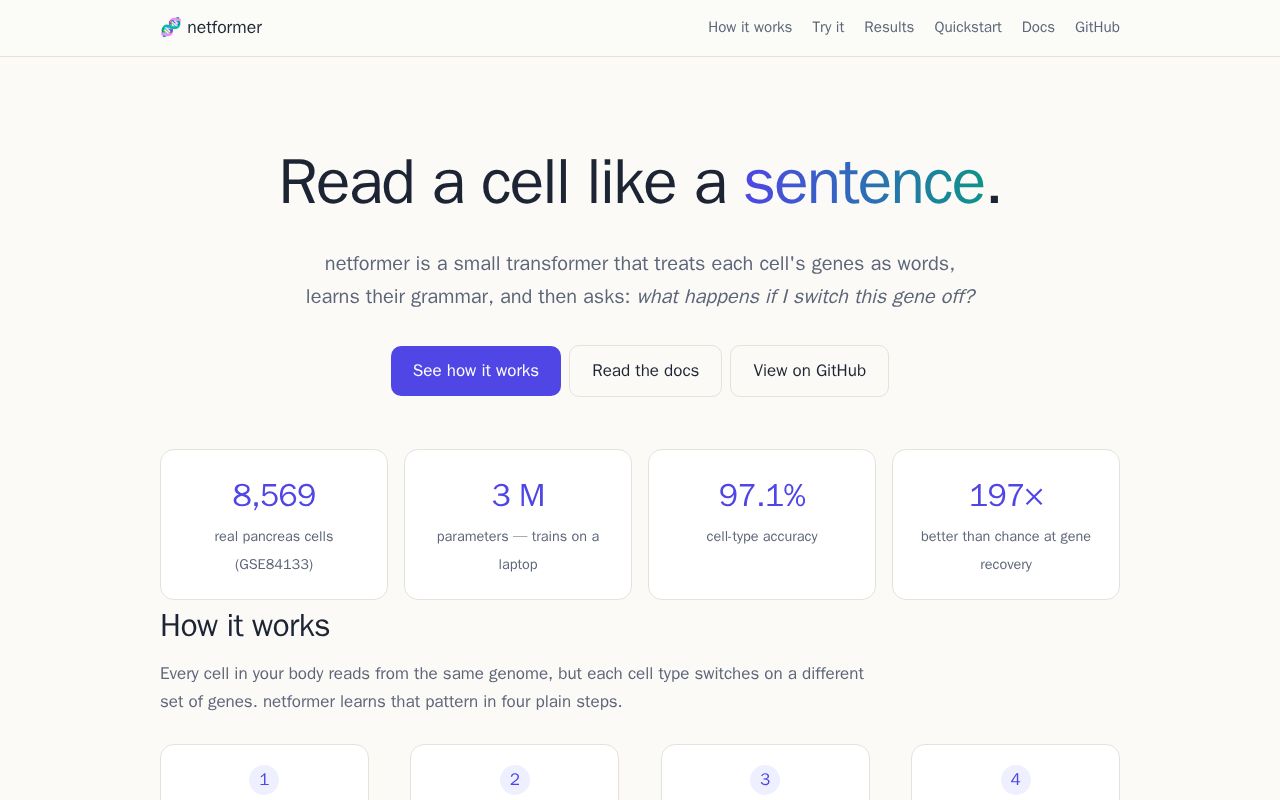 Preview of Netformer