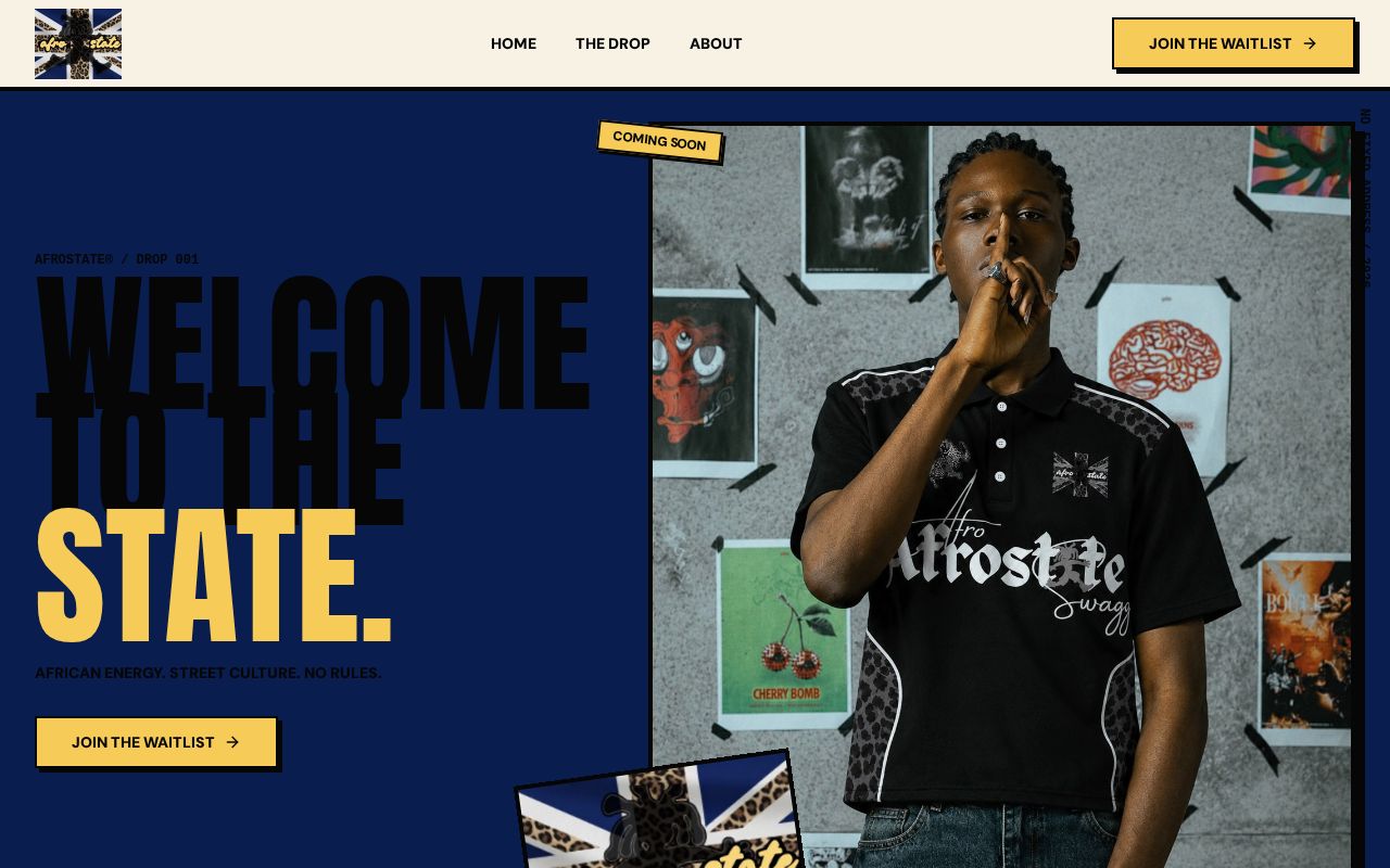 Preview of Afrostate