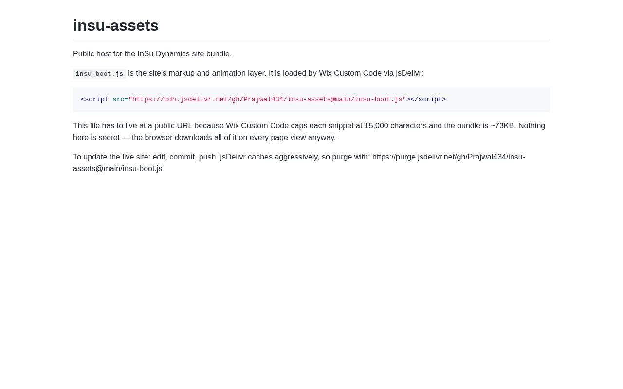 Preview of Insu Assets