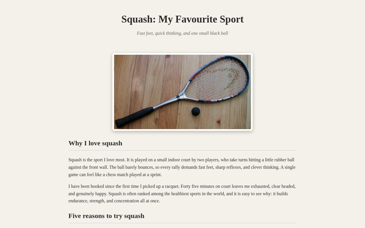 Preview of Rabia S Website