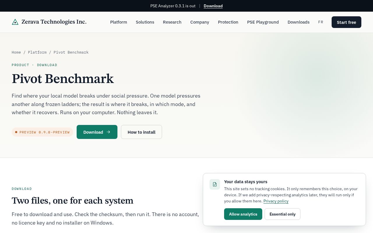 Preview of Pivot Bench