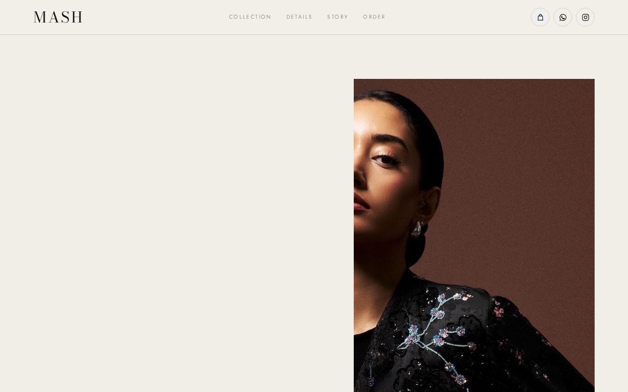 Preview of Mash Website