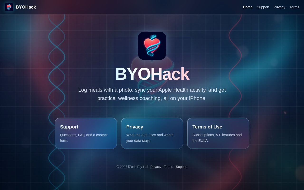 Preview of Byohack Site