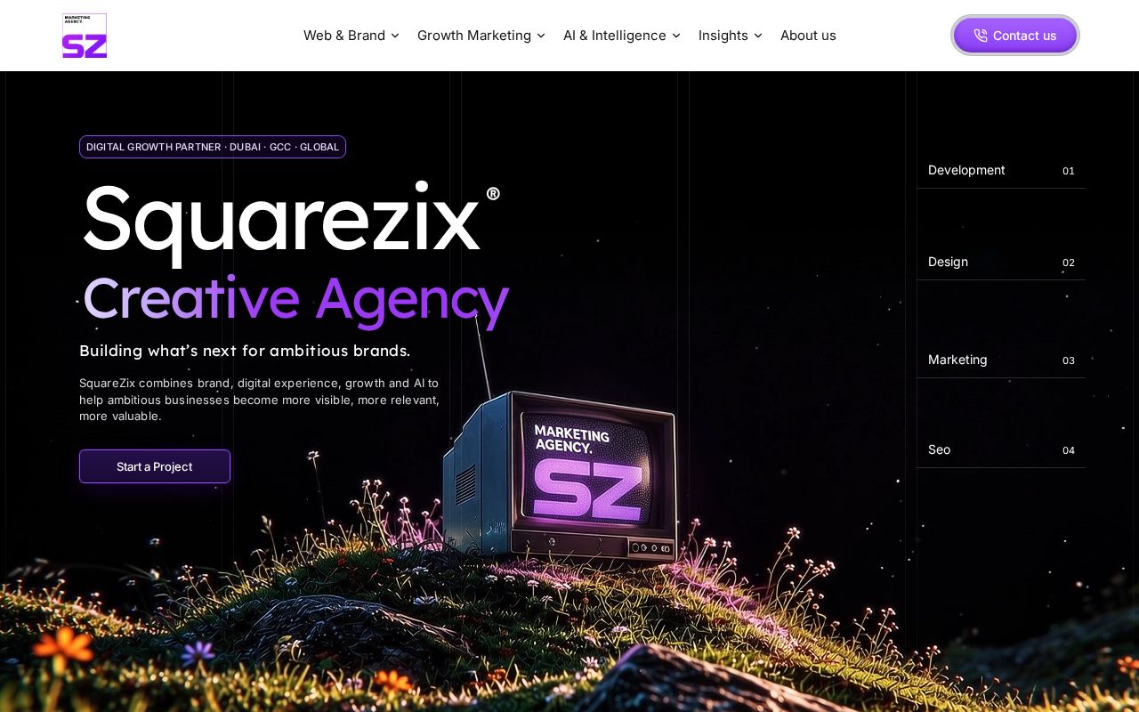 Preview of Squarezix Website Design