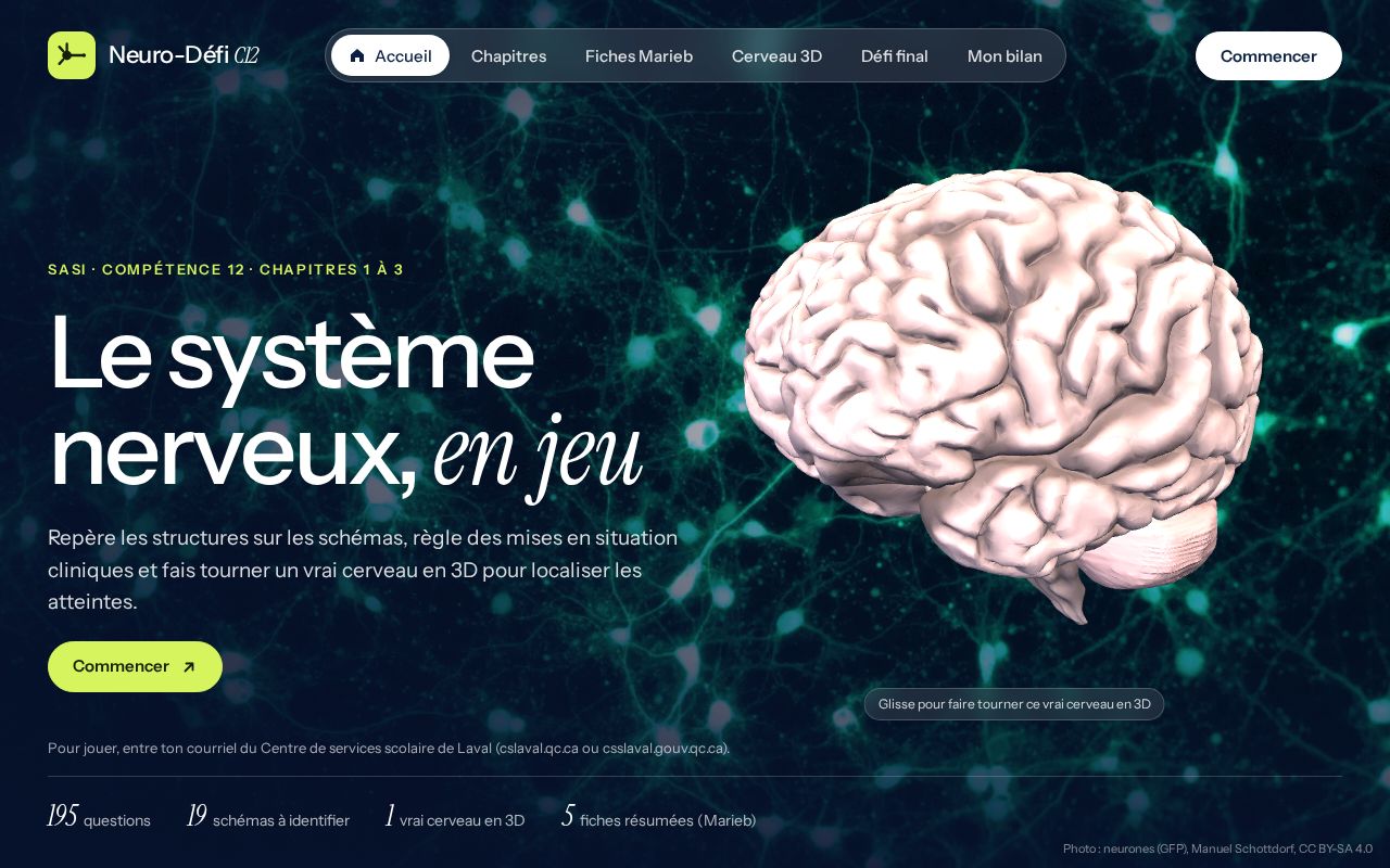 Preview of Neuro Defi C12