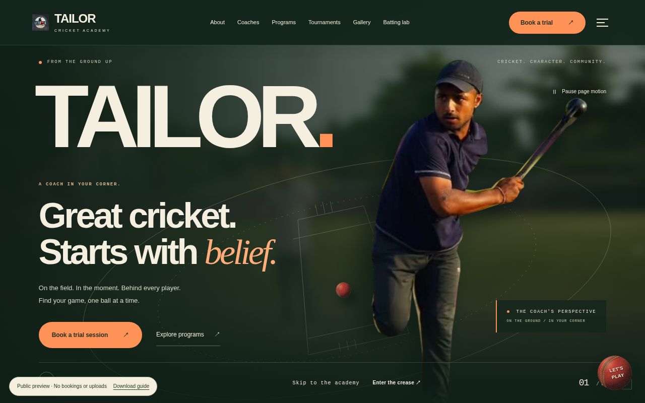Preview of Tailor Cricket Academy Site