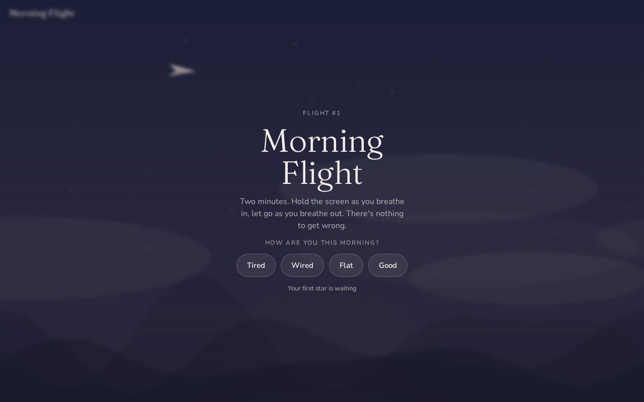 Preview of Morning Flight