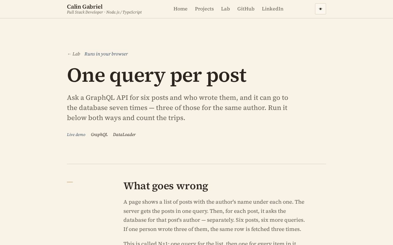 Preview of Graphql N Plus One Lab