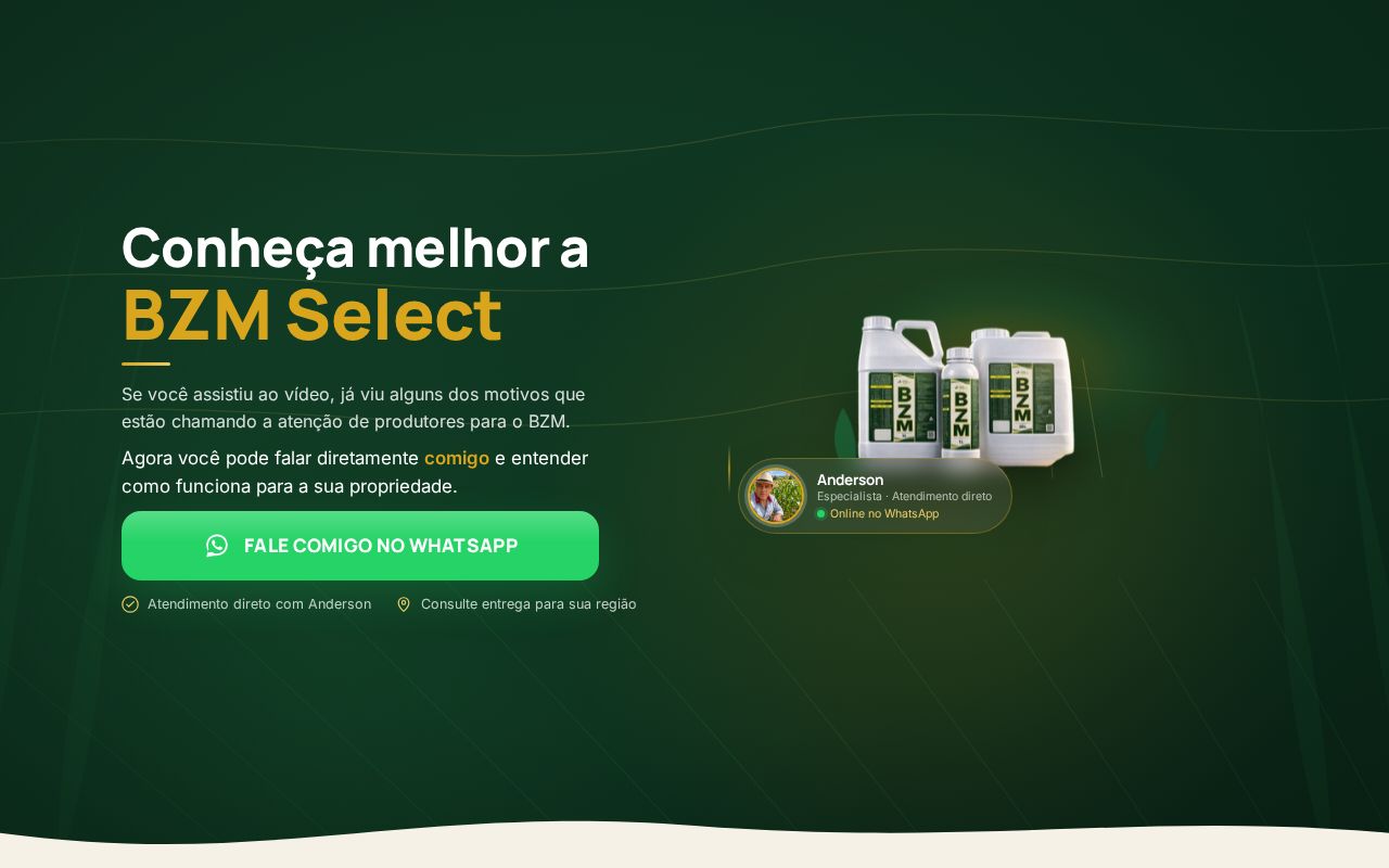 Preview of BZM Fale Com Anderson
