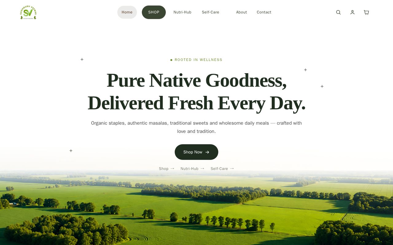 Preview of Svhub Frontend