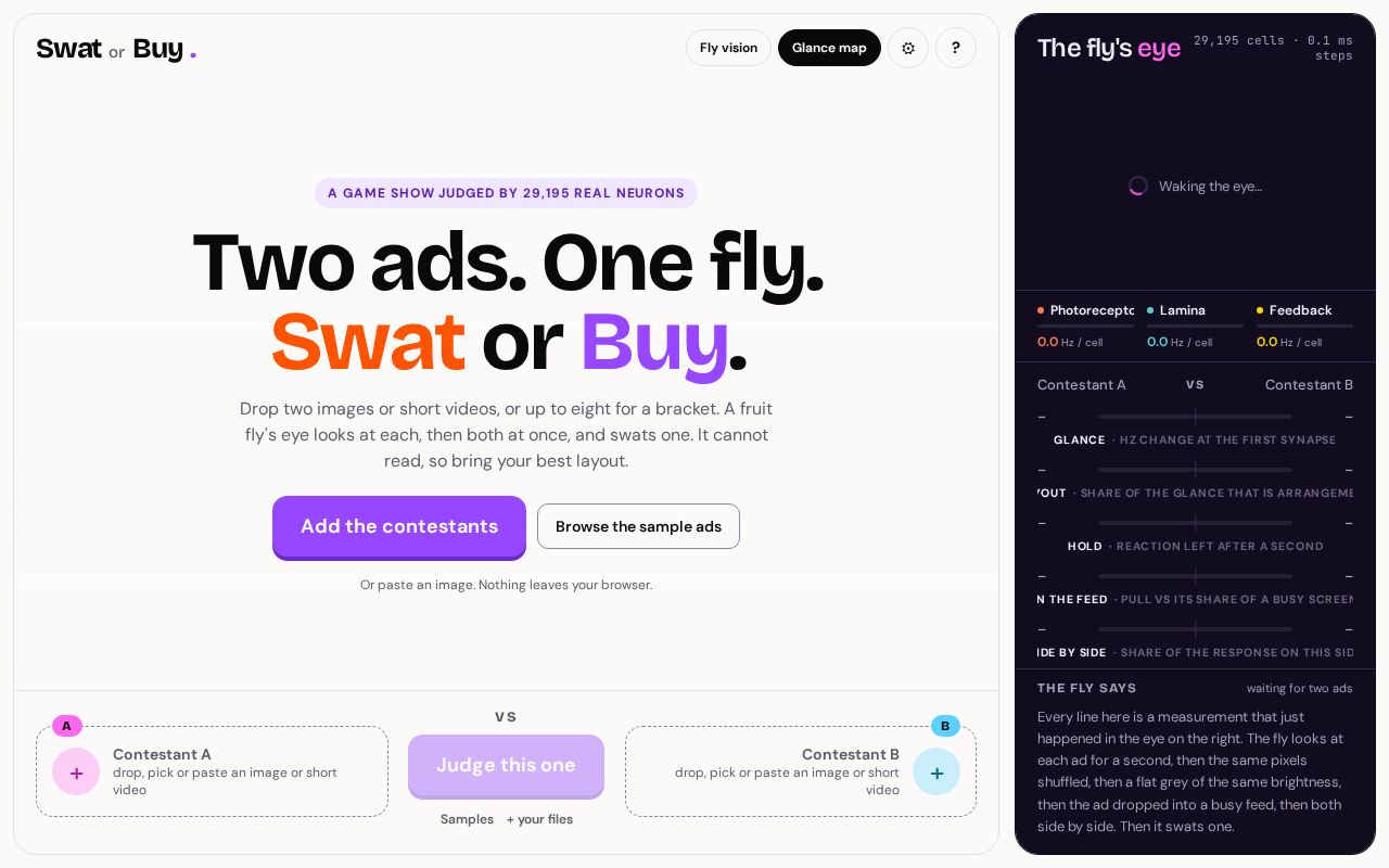 Preview of Swat Or Buy